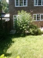 House Builder - House | Extension | Rear | Patio
