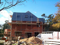 Extension